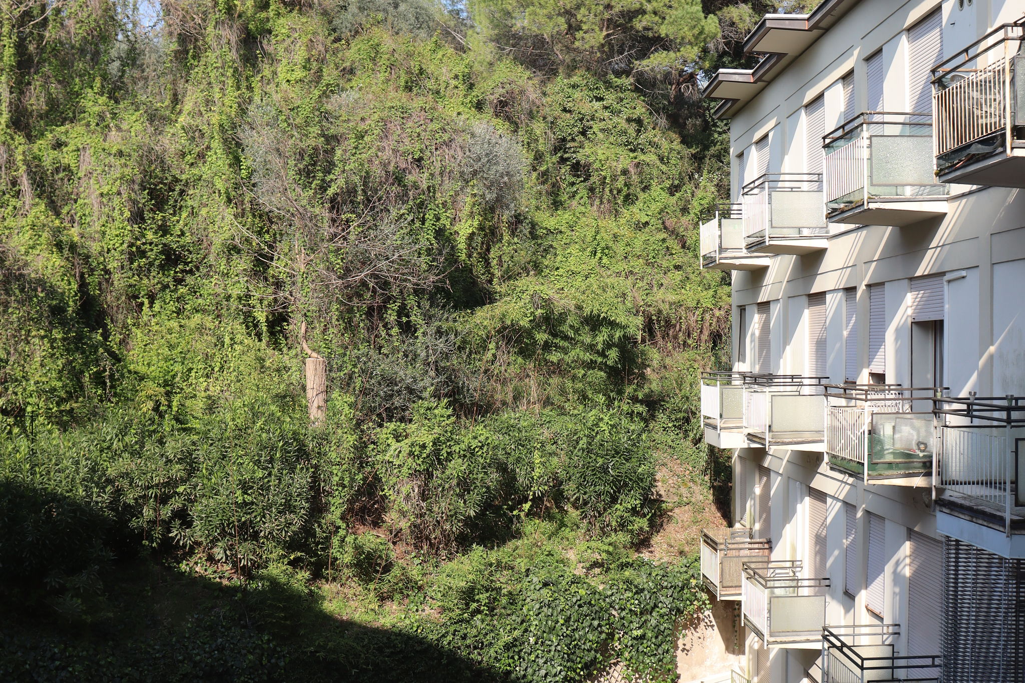 Apartment 301 in Garda